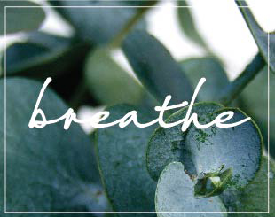 Breathe Aromatherapy